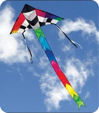 Eagle Wings Kids Kite