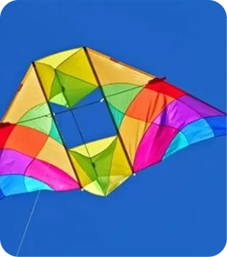 3D Giant Octopus Kite