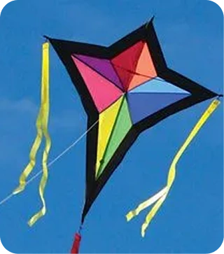 Delta Kids Kite + RipStop Nylon Material + Line on D-Handle + 2-tails + Bag