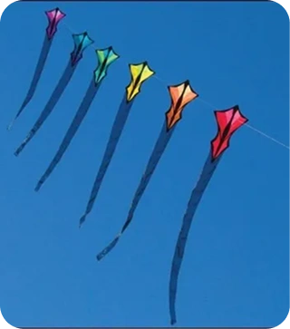 3D Giant Octopus Kite